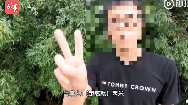 地方新闻 第81页