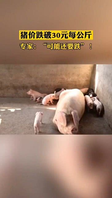 港澳新闻 第60页