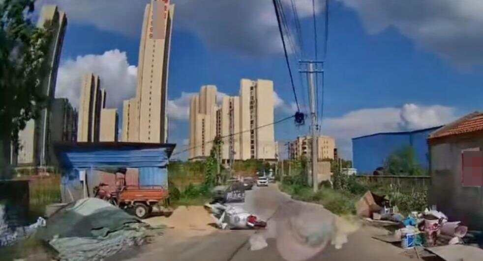娱乐生活 第61页
