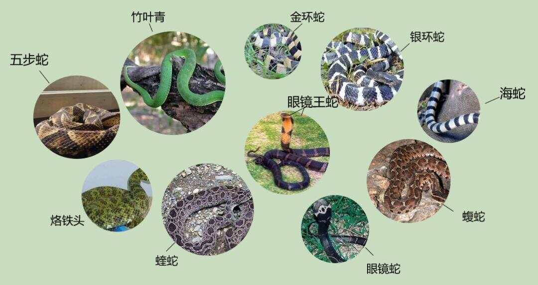 热点生活 第52页