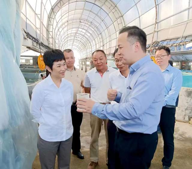 海南省农业农村厅厅长何琼妹被查海南省农业农村厅厅长何琼妹涉嫌违纪被查，引发社会关注