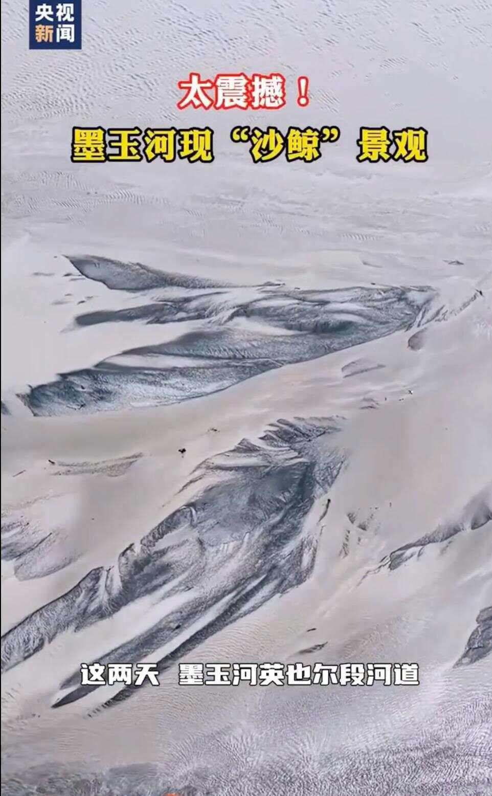 新疆一河水退去留520米巨鲸图案新疆惊现奇迹，河水退去显露巨型鲸图案——揭秘背后的自然奥秘