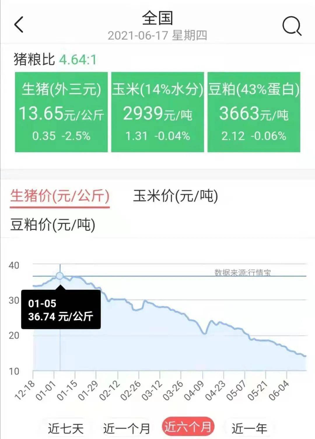 猪价跌入\"6元时代\" 为何会这么低？猪价跌入6元时代，深度解析背后的原因